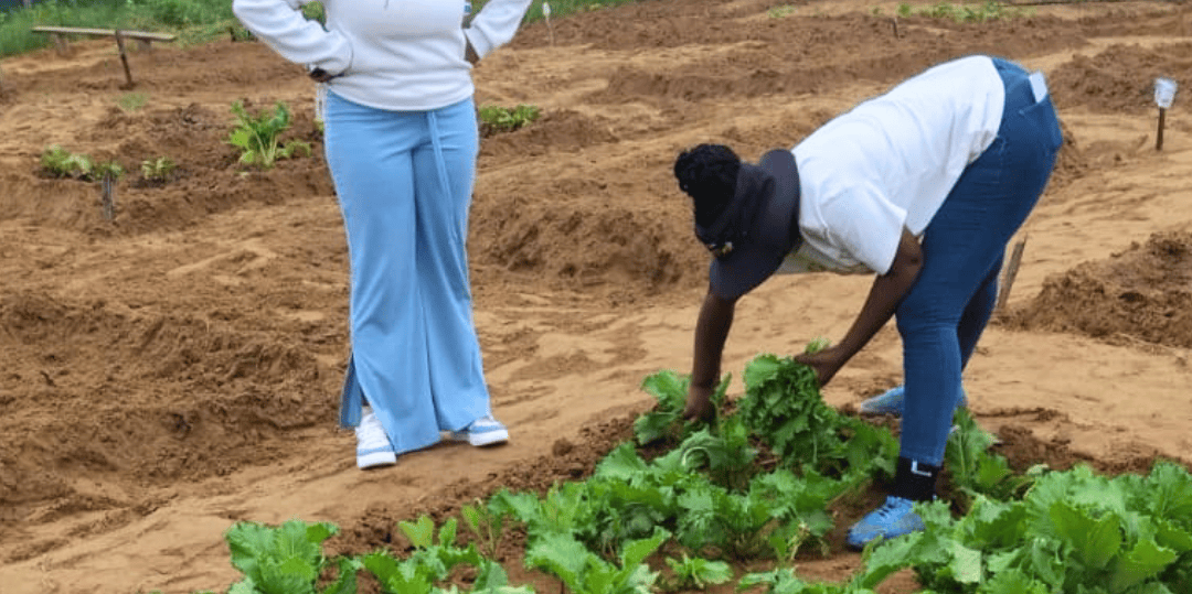 How Emmanuel Prosper Mafuma Turned Farming into a Mission of Social Justice